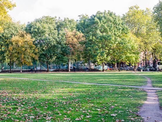 Brook Green