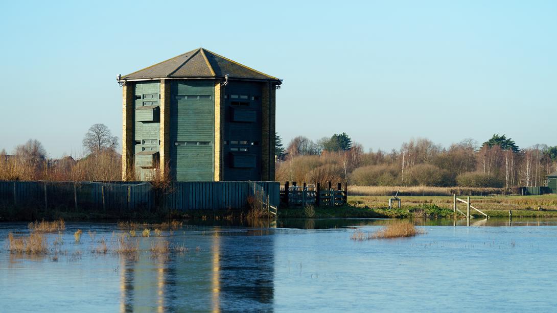 London Wetland Centre