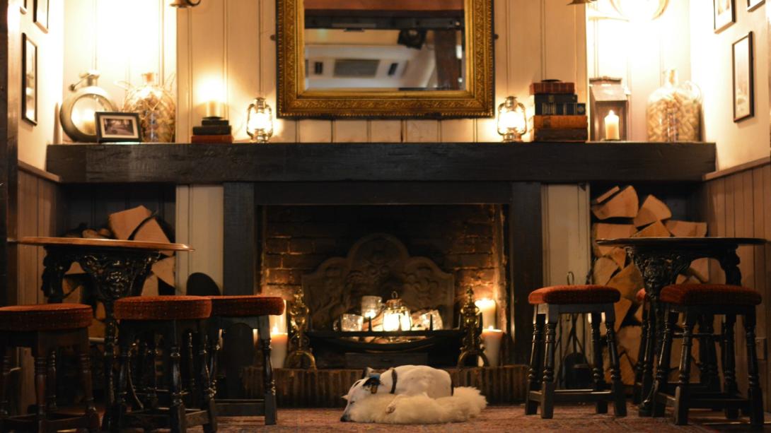 The Albion pub interior