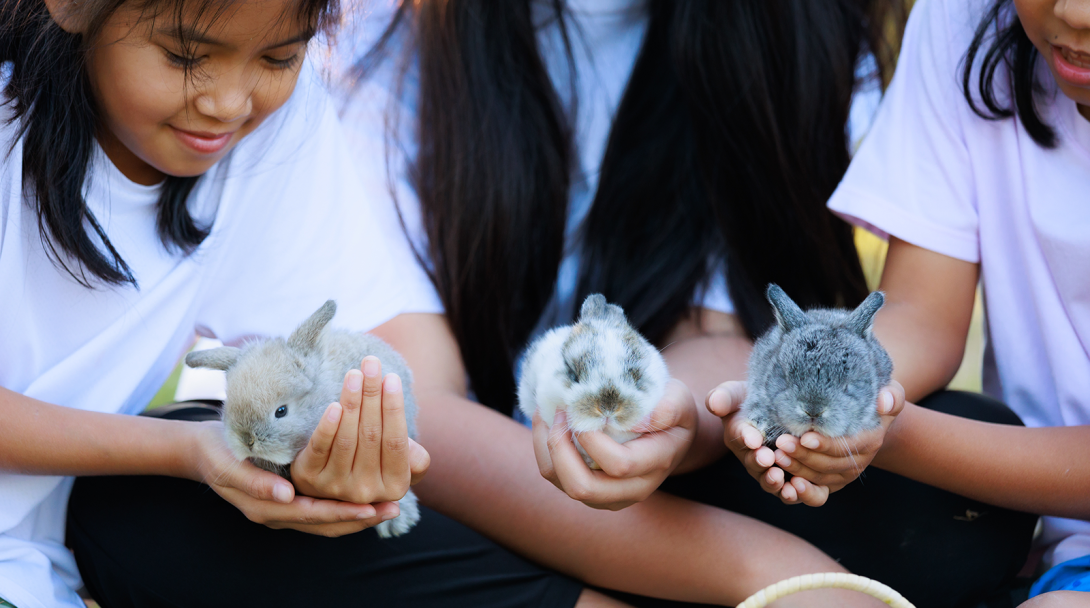 Girls holding baby rabbits