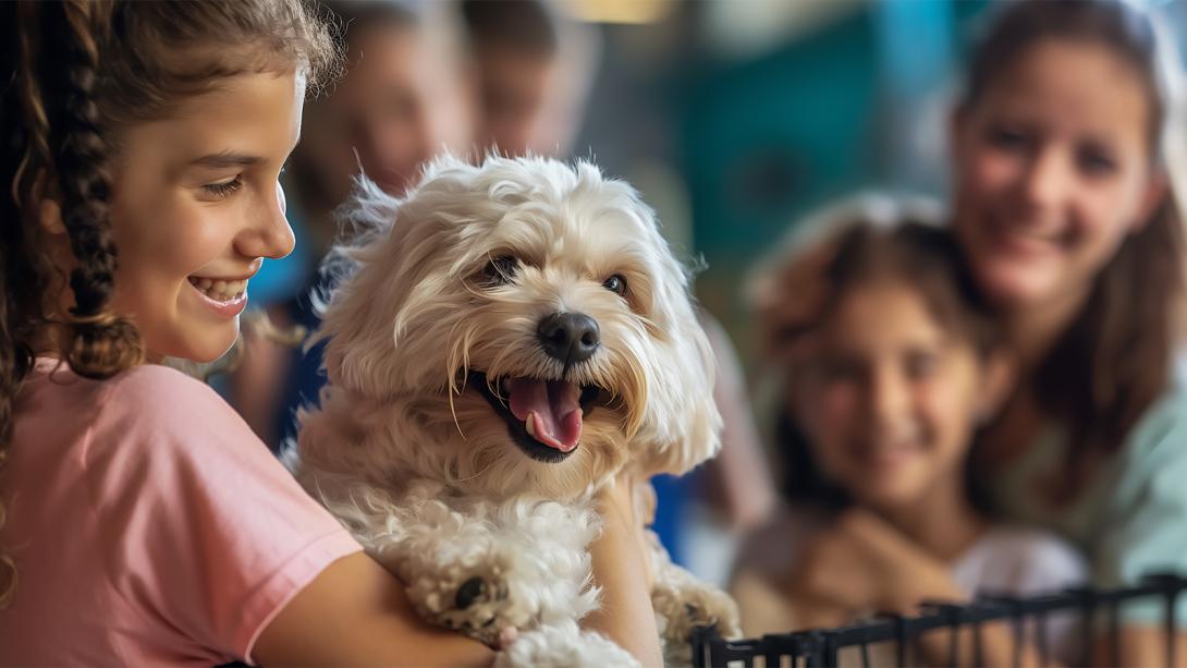 Smiling young girl holding a fluffy white dog with its mouth open in a happy expression, while two other smiling girls look on in the blurred background.